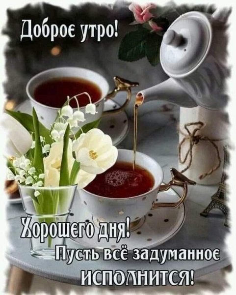 bd498167f8b452a87b5194cc5a0d624f
