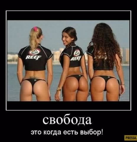 picture_237730471