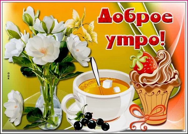 IMG-20210321-WA0011