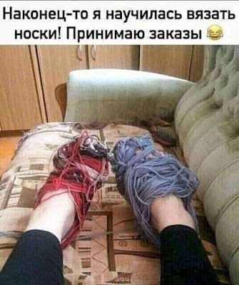 picture_409937291