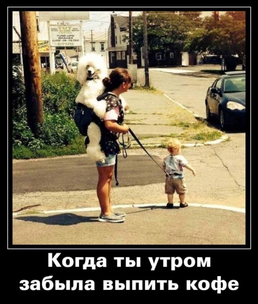CaAQ9Ip7PG8fE 7G GfMZPQXE0PvOhGKHFB8m9pkhfNtQedWZmOzn1PMFKh2