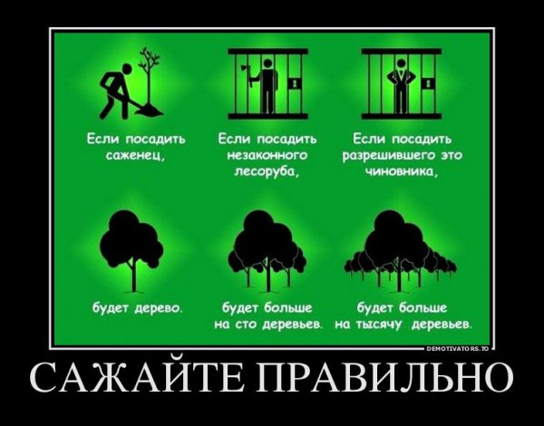 Сажайте правильно
