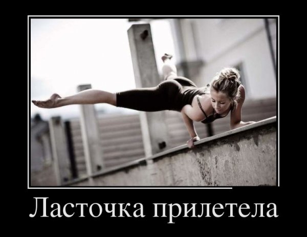 picture_208557055