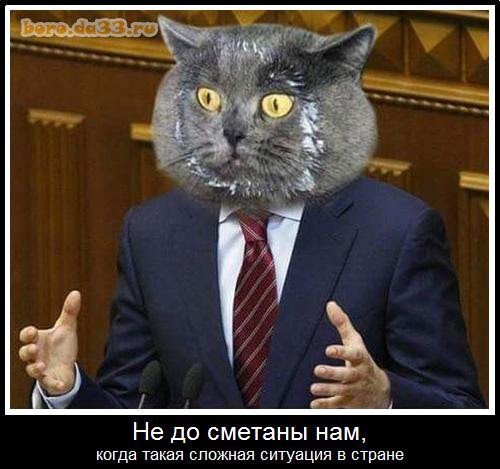 Ne-do-smetany-nam 29262