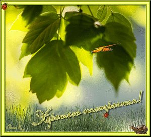bloggif 5eef09cc5b779