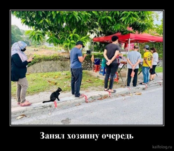 picture_379296207