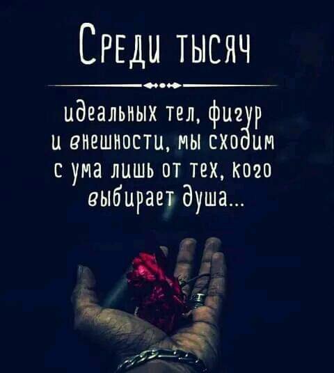 IMG 1685012064528