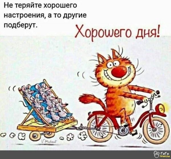 IMG-20220216-WA0009