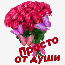 розы