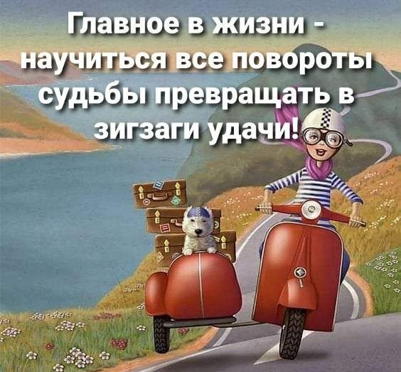 picture_292655485
