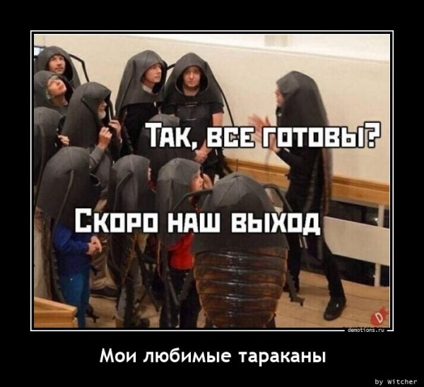 Moi-lyubimye-tarakan demotions.ru