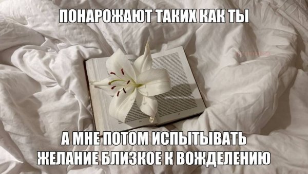 picture_412949325
