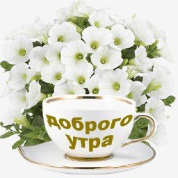 доброе утро