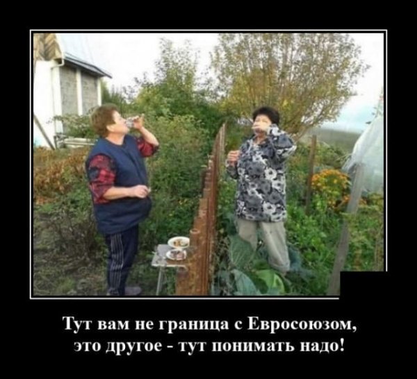 11-23-mixnews-1637615285