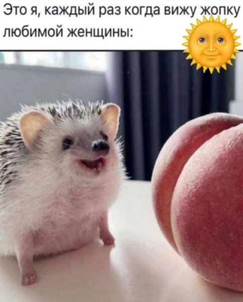 Dbjapg8eFfPVTO5S1iF74Ul70aMdsZsfh8ZiIHnX3m6WOv