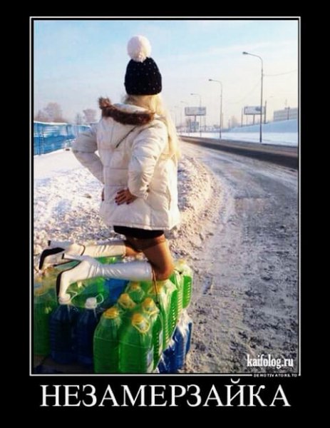 демотиваторы 215649
