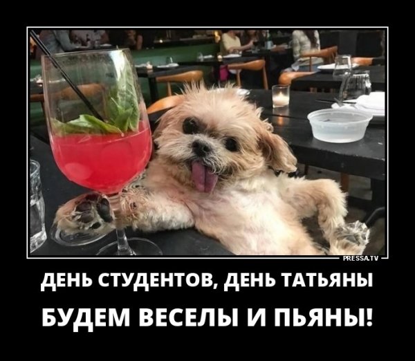 День студентов