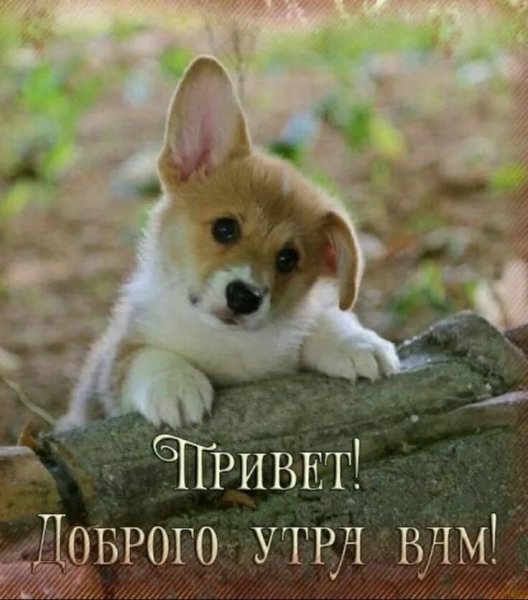 Привет!