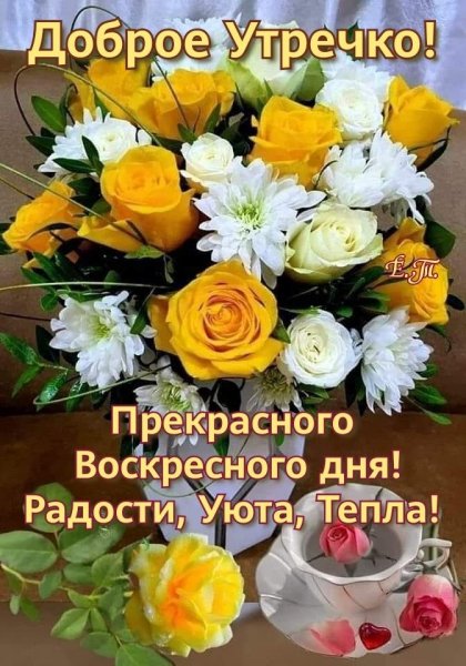Друзья мои!