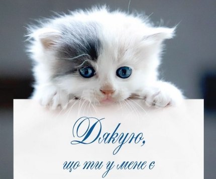 Дякую що ти у мене є