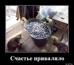pics