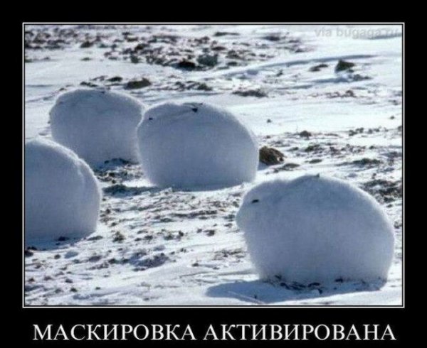 Спрятались)))