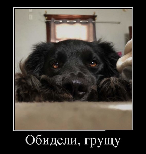 Обидели