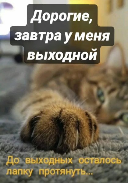 Лапку протянуть...