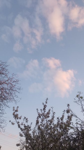 picture_411605623