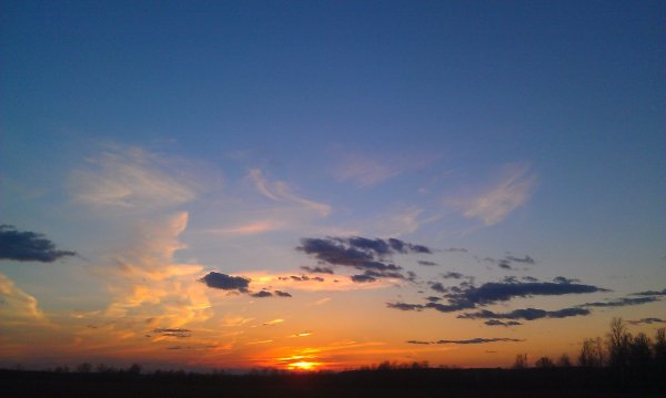 IMAG0134