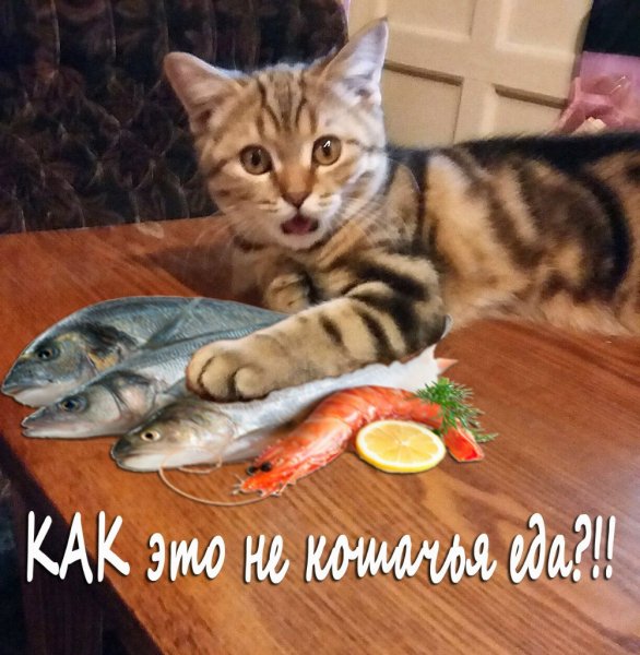 А??!!!