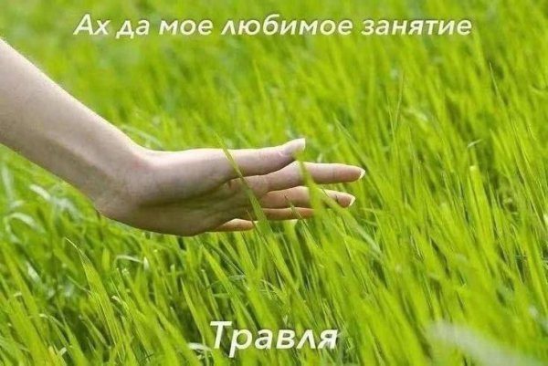 picture_412253563