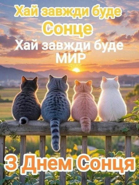 05-03
