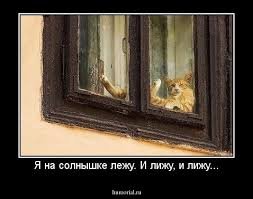 pics