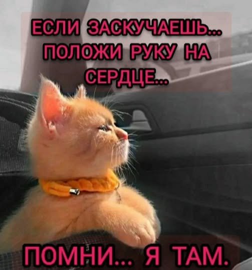 07-29