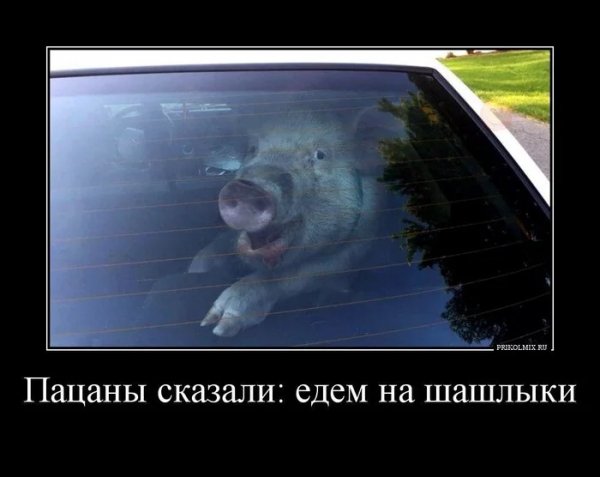 Ynoqqvrc