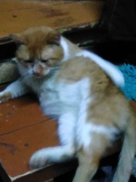 IMG 20210101 201915