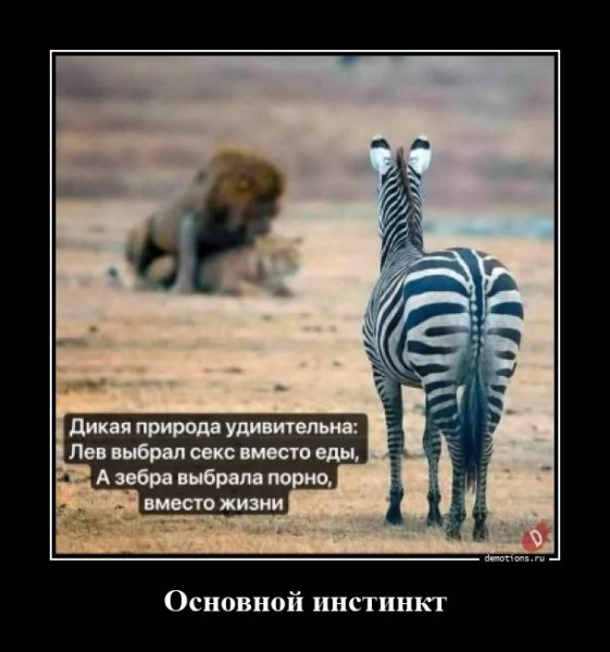 picture_375939787