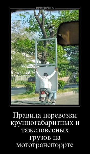 picture_376093946