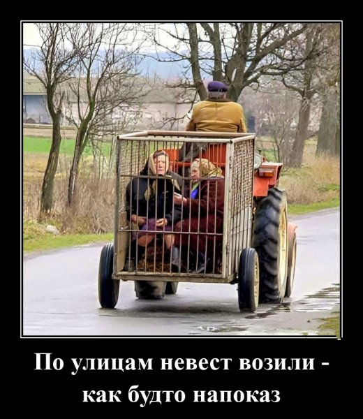 Бешеные бабки