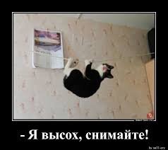 pics
