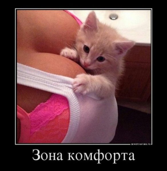 Зона комфорта