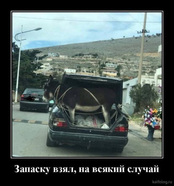 picture_381659512