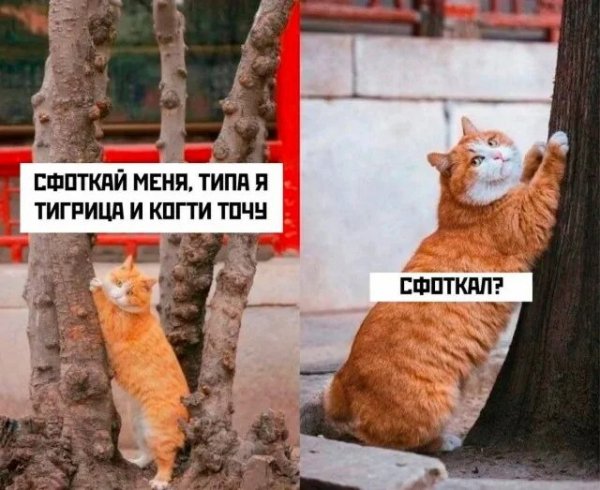 Сфоткал?