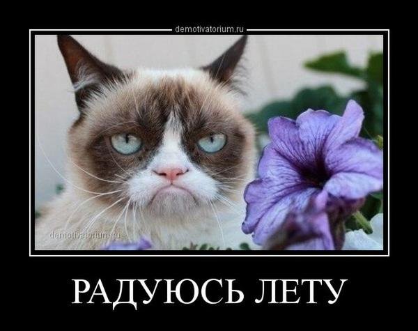 Да!