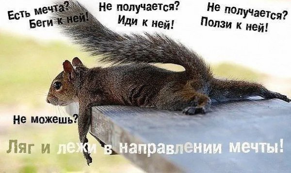 IMG 20211120 050211