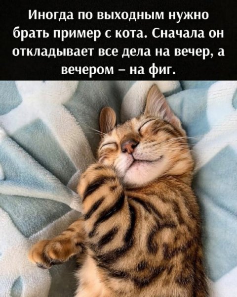 9oSKt1MUvJ0