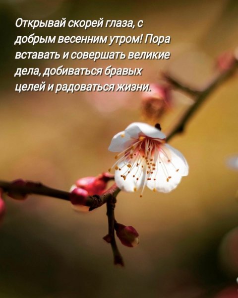 С добрым весенним утром!