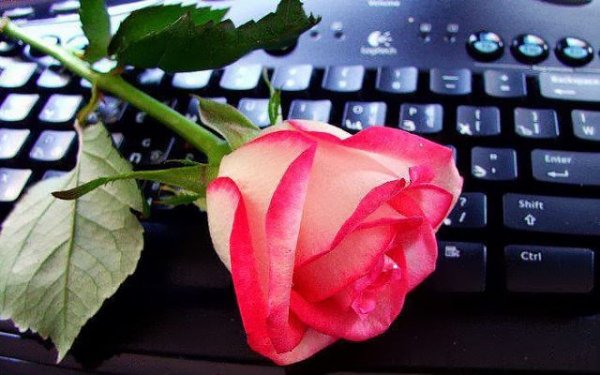 getImage(3)