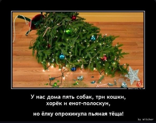 picture_369867426